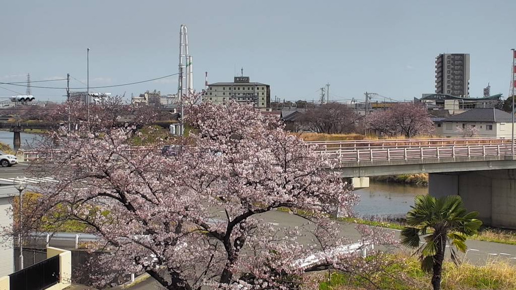 CTY海蔵川三重県工業研究所窯業研究室ライブカメラ(三重県四日市市東阿倉川)