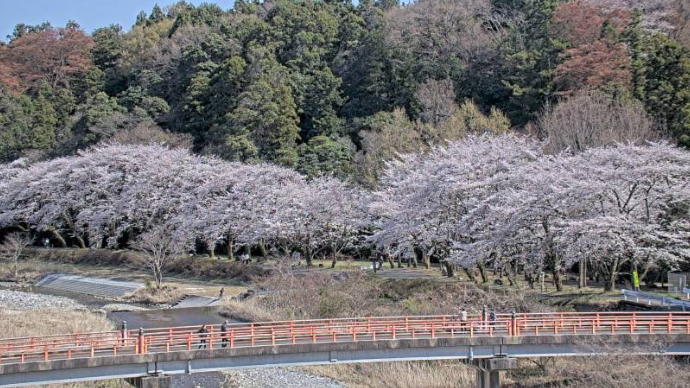 CTY宇賀川いなべ市大安公民館ライブカメラ(三重県いなべ市大安町大井田)