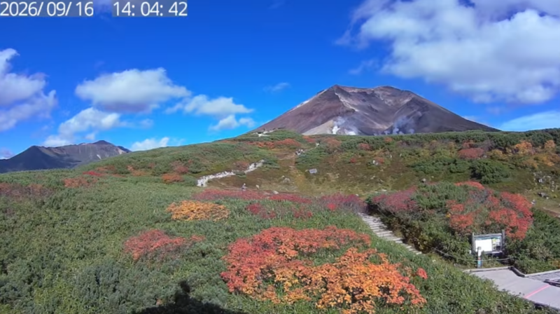 旭岳5合目ライブカメラ(北海道東川町勇駒別)