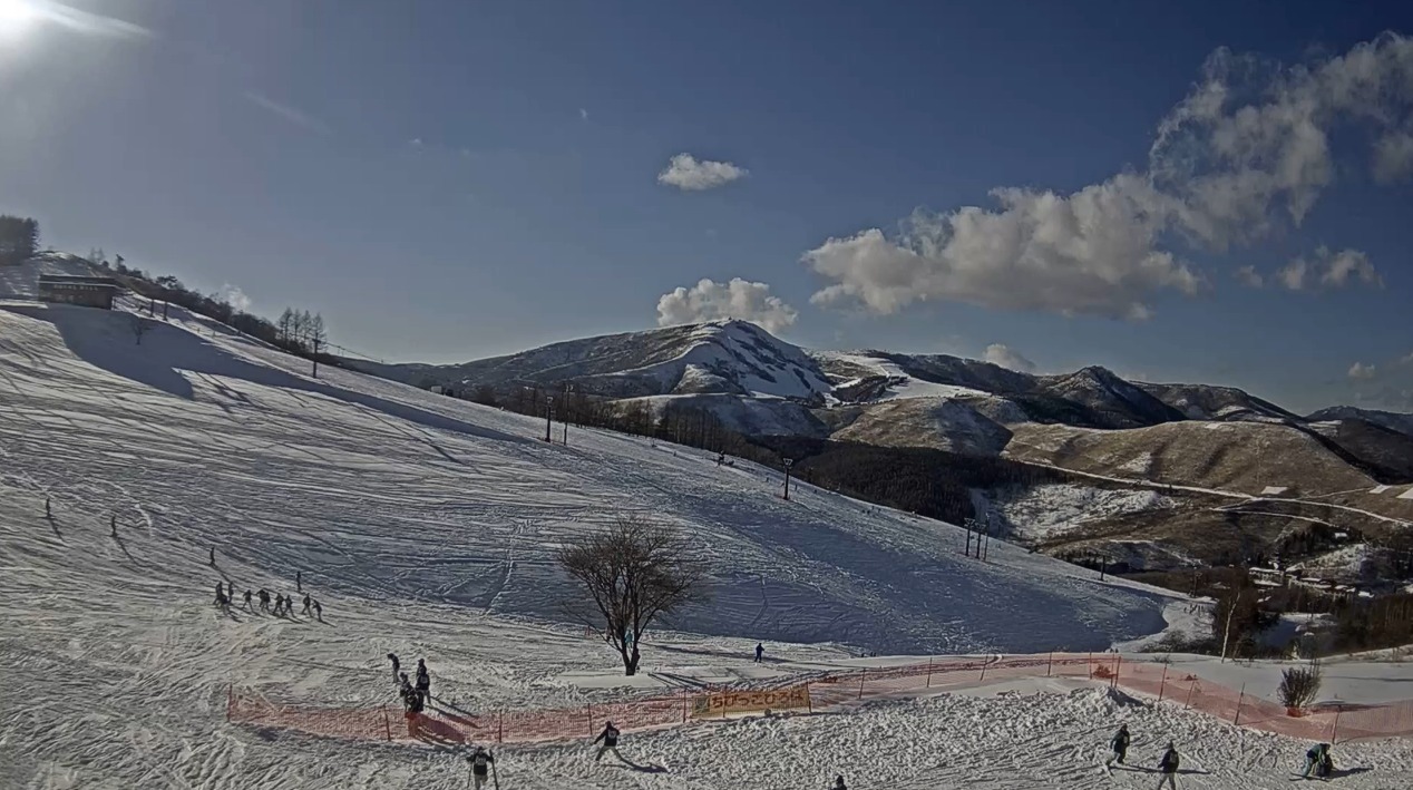 白樺湖スノーアカデミーライブカメラ(長野県茅野市北山)