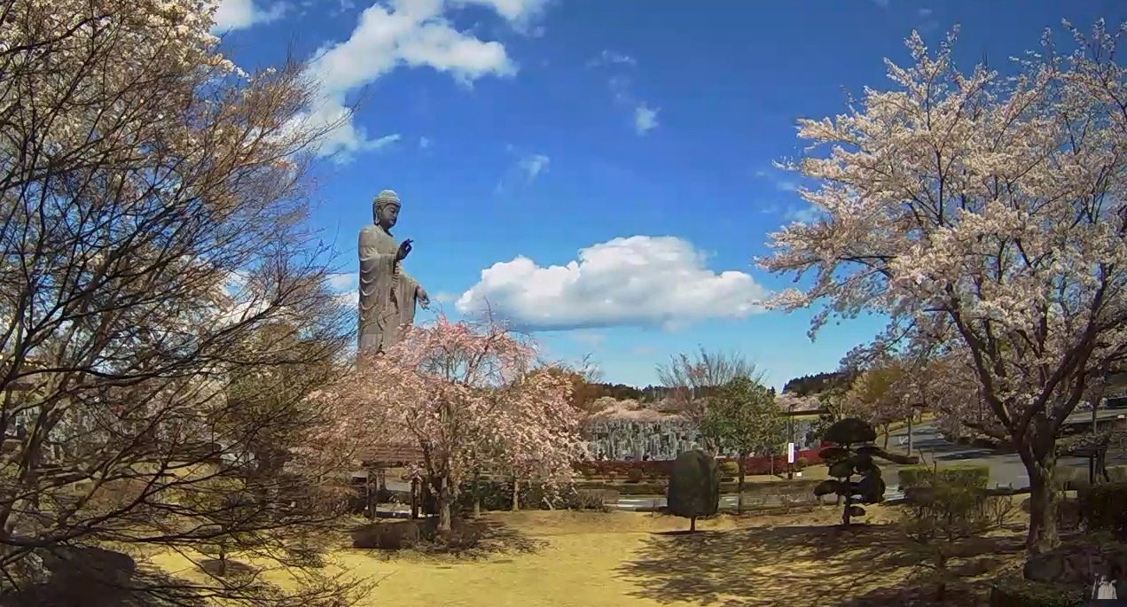 牛久大仏牛久浄苑十方堂ライブカメラ(茨城県牛久市久野町)