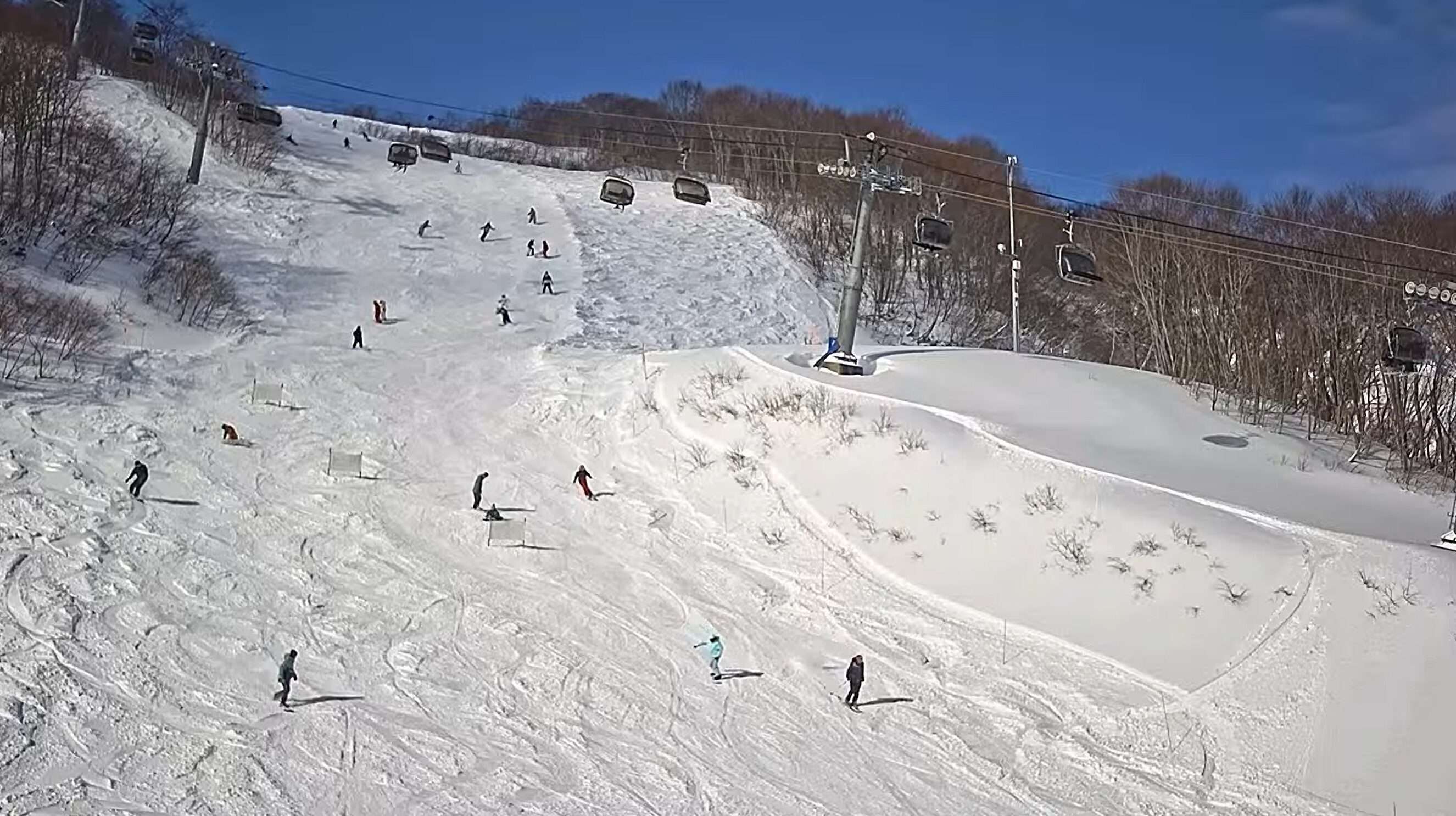 アライマウンテンリゾート膳棚ステーション周辺ライブカメラ(新潟県妙高市両善寺)