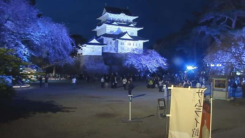 小田原城常盤木門ライブカメラ(神奈川県小田原市城内) 2026年3月29日 小田原城夜桜ライトアップ「小田原城幻想夜桜」
