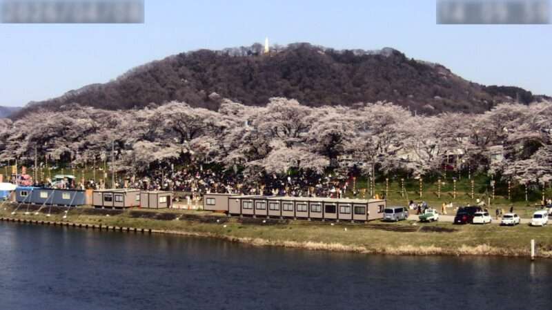 おおがわら桜まつり桜並木ライブカメラ(宮城県大河原町町)