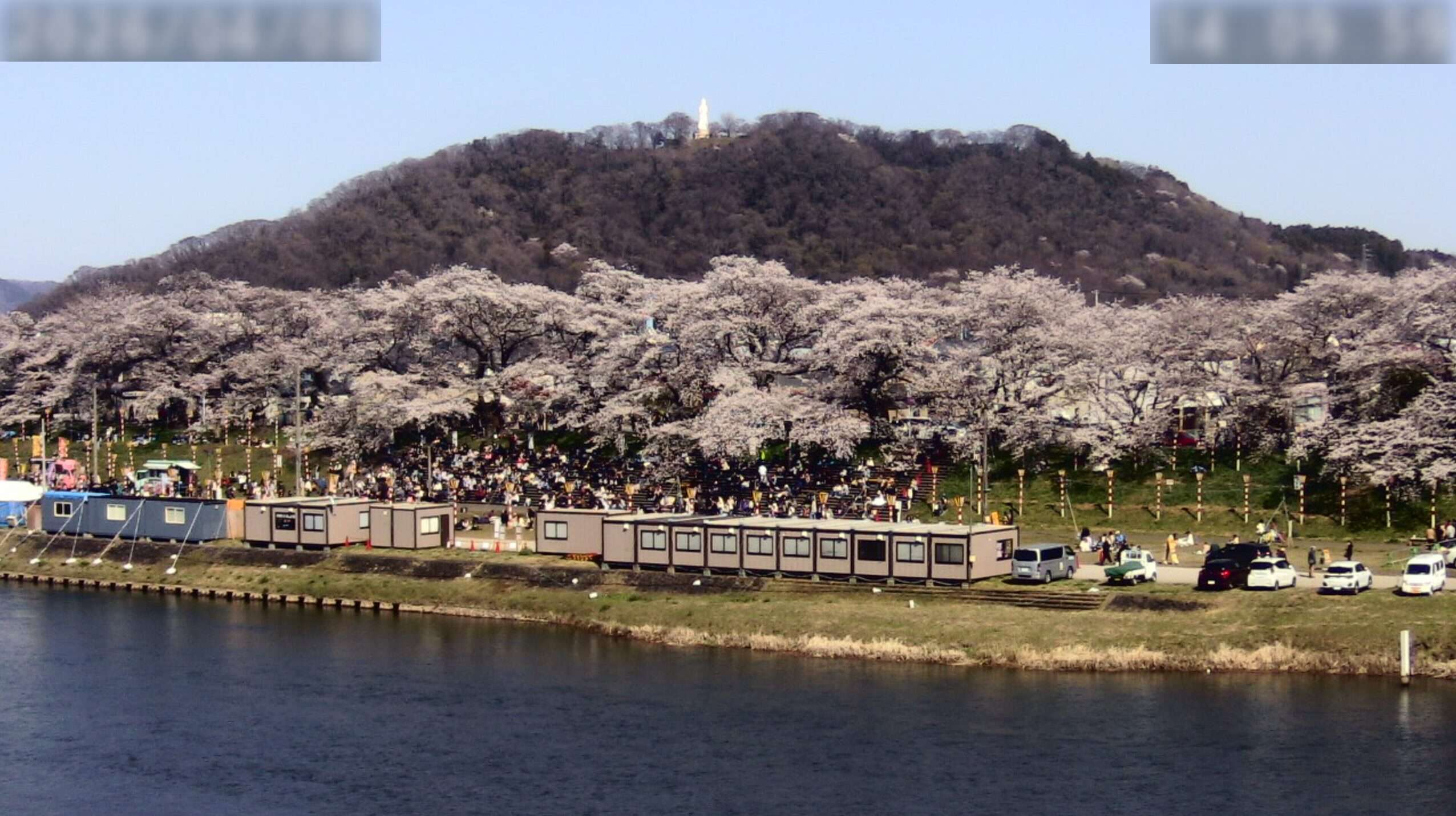 おおがわら桜まつり桜並木ライブカメラ(宮城県大河原町町)