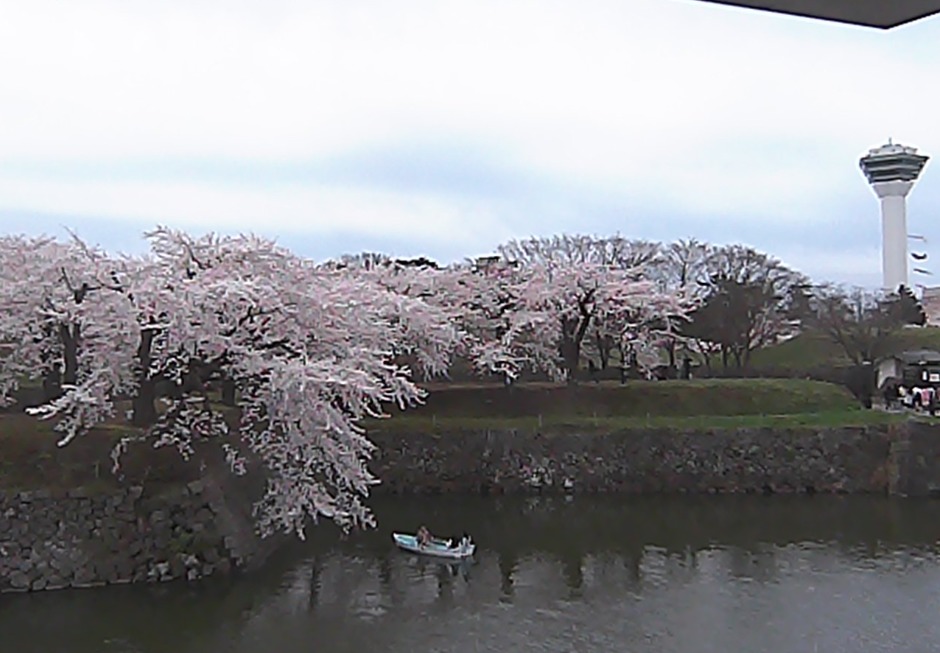 五稜郭公園裏門橋側ライブカメラ(北海道函館市五稜郭町)