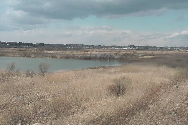 蕪栗沼ライブカメラ(宮城県大崎市田尻蕪栗)