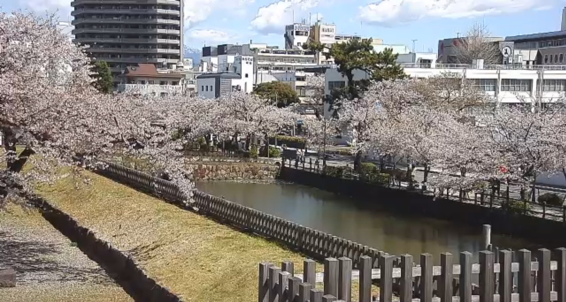 小田原城馬屋曲輪ライブカメラ(神奈川県小田原市城内)