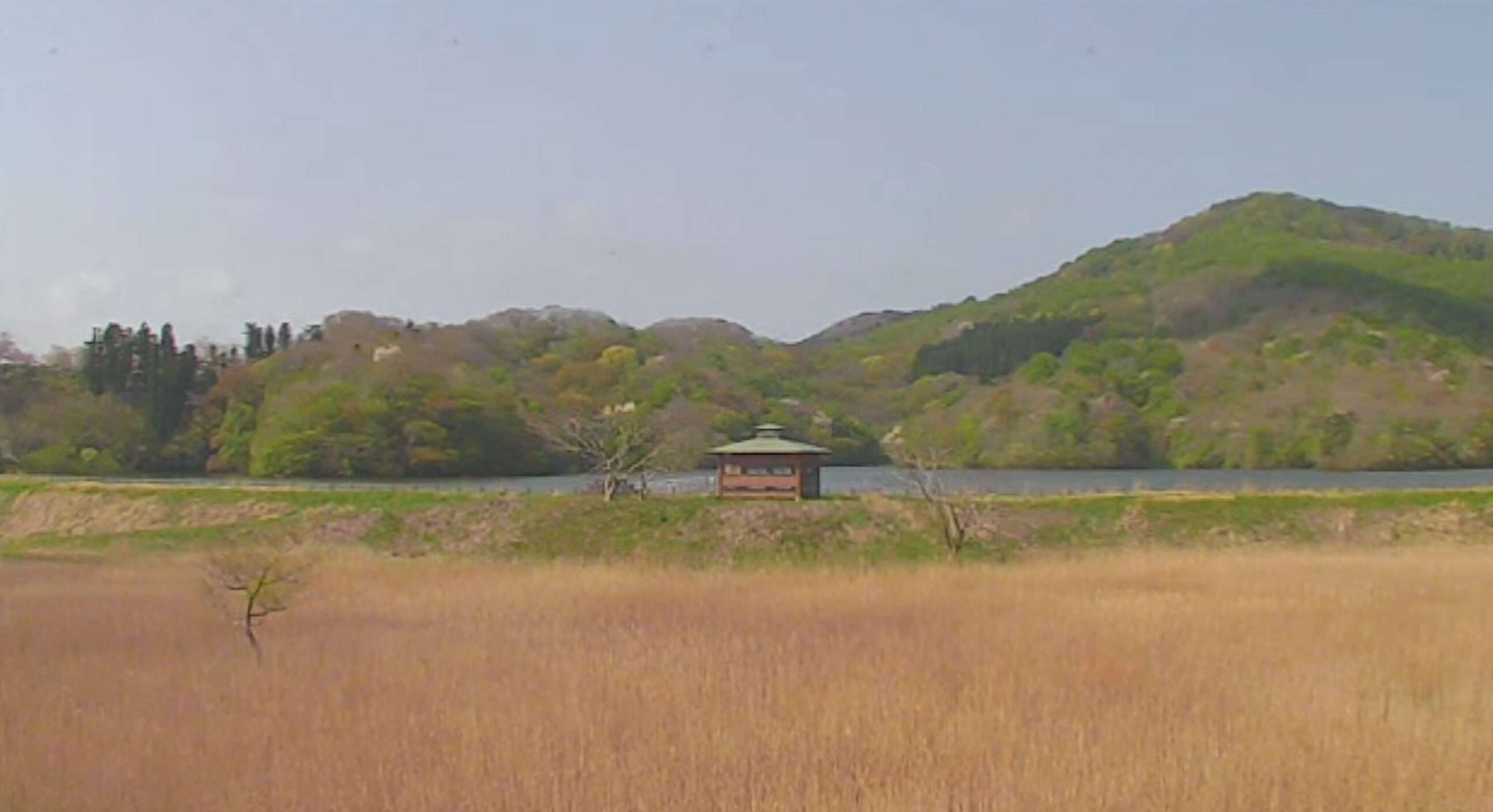 鶴岡市自然学習交流館ほとりあライブカメラ(山形県鶴岡市馬町)