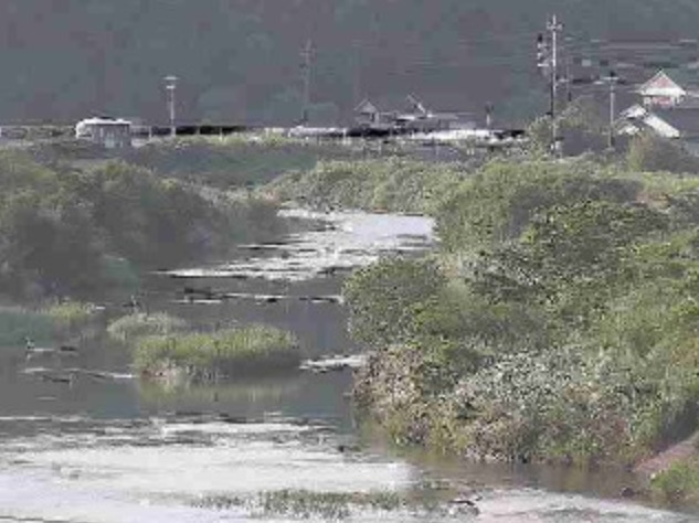 市木川古都橋ライブカメラ(宮崎県串間市市木)