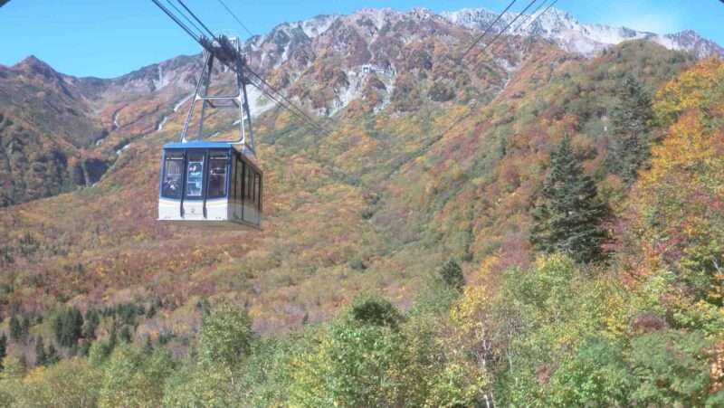 黒部平ライブカメラ(富山県立山町芦峅寺)