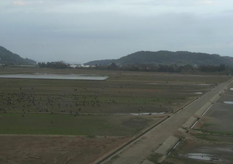 MBC出水平野ライブカメラ(鹿児島県出水市荘)