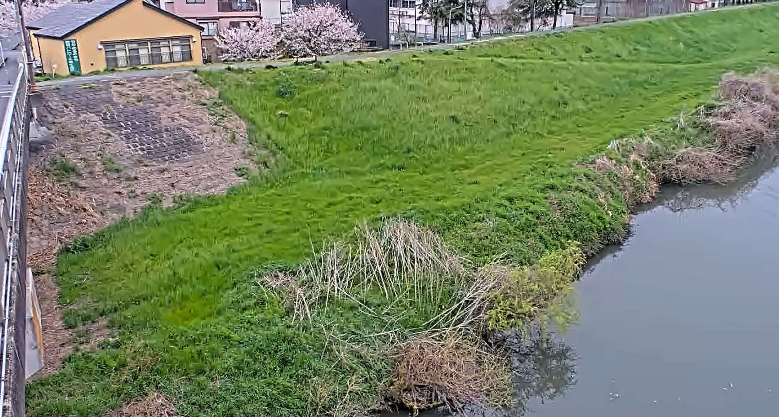 新河岸川袋橋ライブカメラ(埼玉県志木市上宗岡)