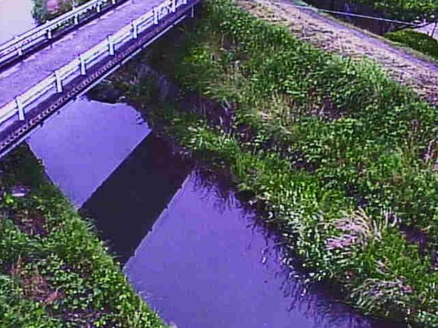 出雲川大正橋ライブカメラ(滋賀県日野町三十坪)