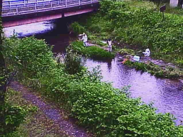 大川岩熊橋ライブカメラ(滋賀県長浜市西浅井町塩津中)