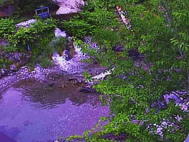 芹川飛ノ木橋ライブカメラ(滋賀県多賀町栗栖)