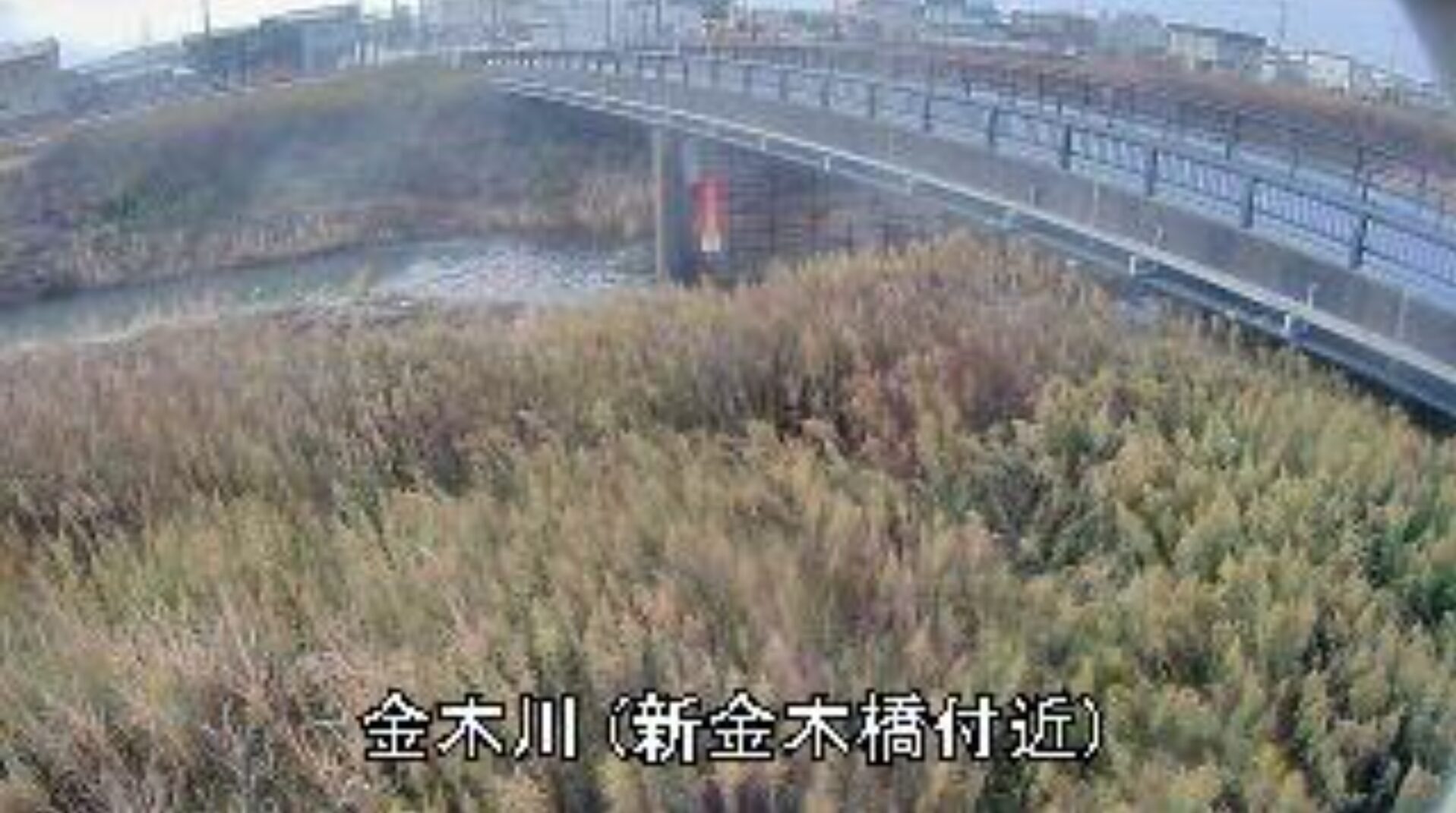 金木川新金木橋ライブカメラ(青森県五所川原市金木町)