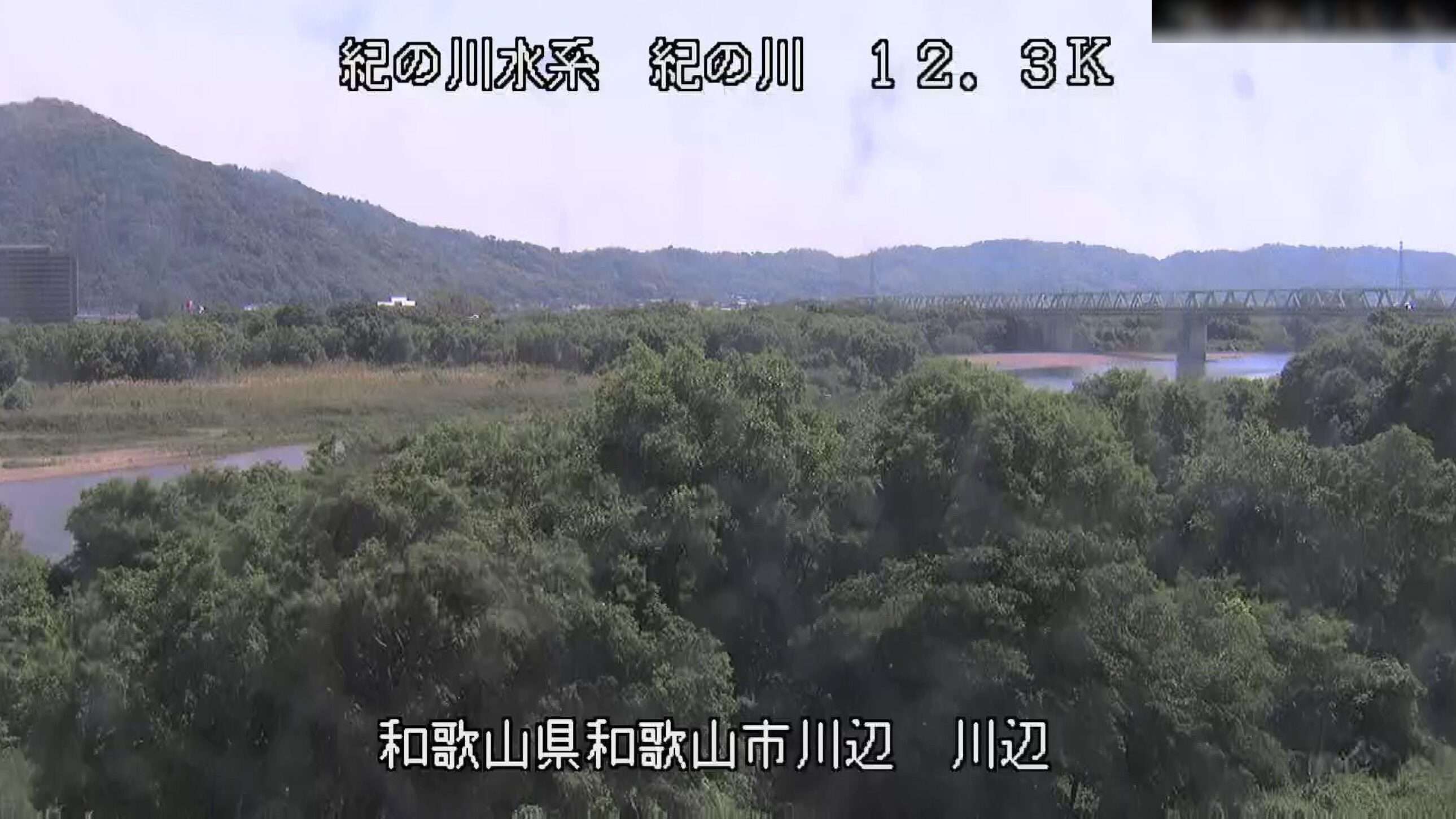 紀の川川辺ライブカメラ(和歌山県和歌山市川辺)