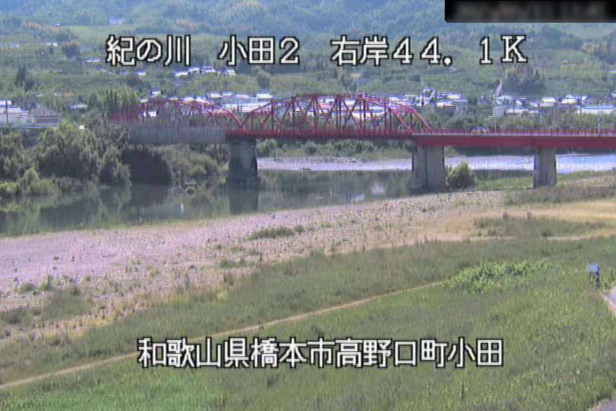 紀の川小田第2ライブカメラ(和歌山県橋本市高野口町小田)
