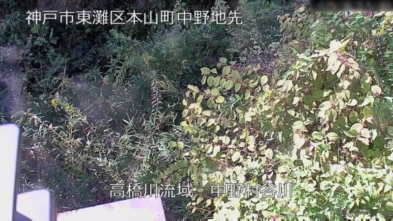 高橋川流域中野村谷川ライブカメラ(兵庫県神戸市東灘区)
