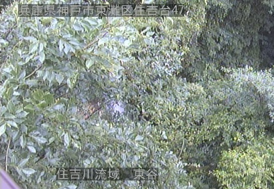 住吉川流域東谷堰堤ライブカメラ(兵庫県神戸市東灘区)