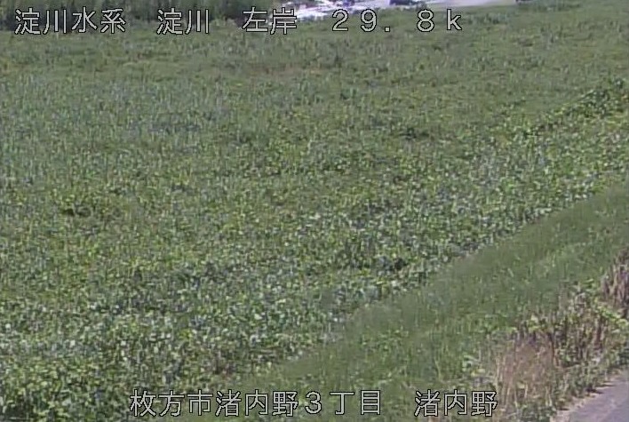 淀川渚内野ライブカメラ(大阪府枚方市渚内野)