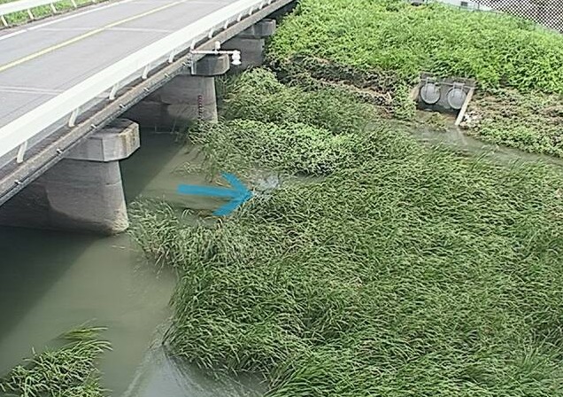 安間川市野橋ライブカメラ(静岡県浜松市東区)