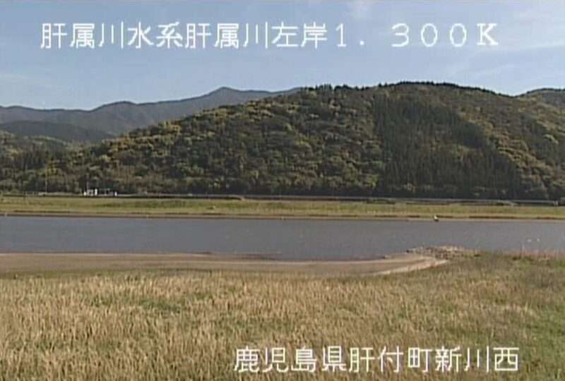肝属川新川西ライブカメラ(鹿児島県東串良町新川西)