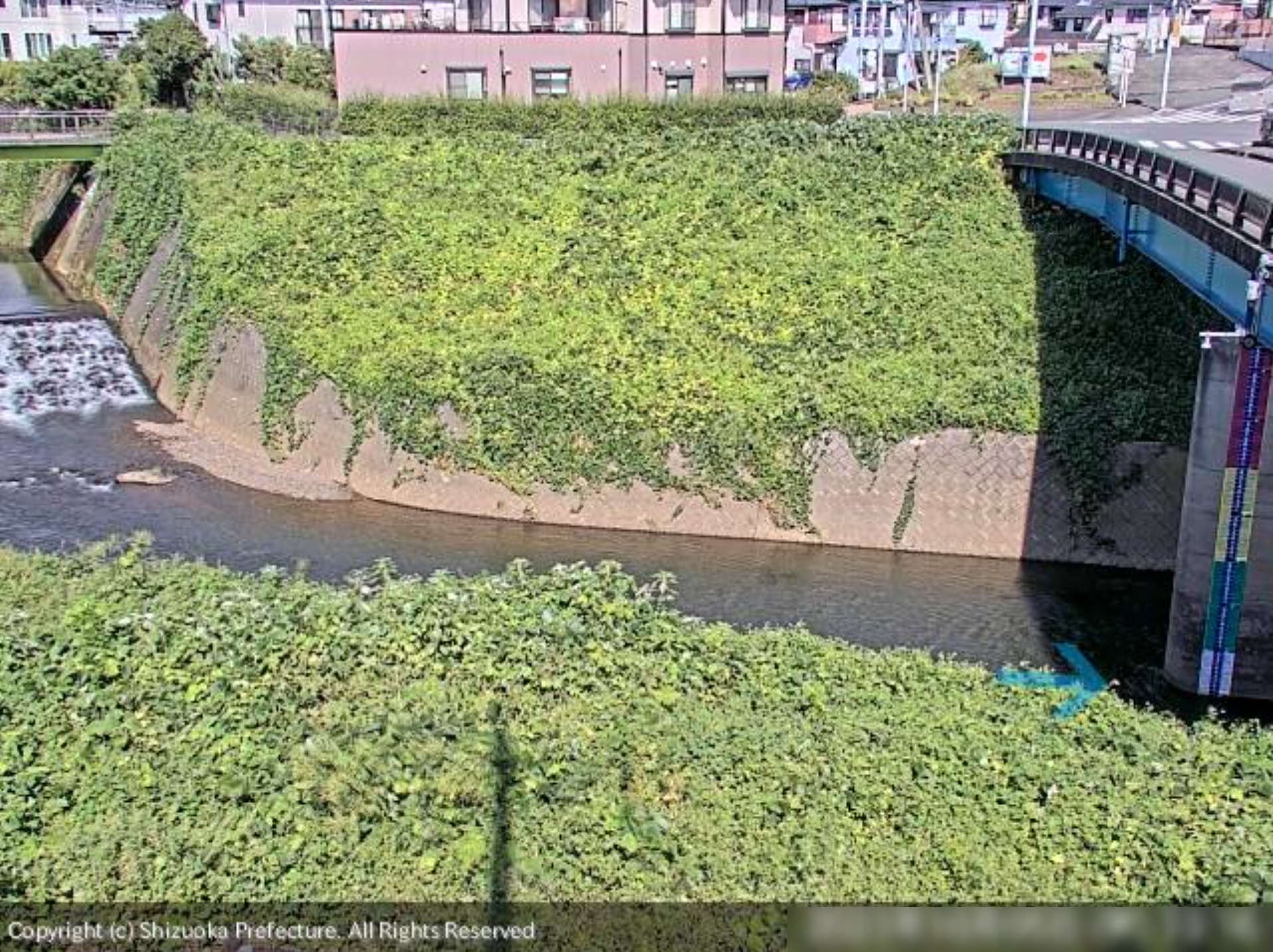 大場川中村橋ライブカメラ(静岡県三島市中)