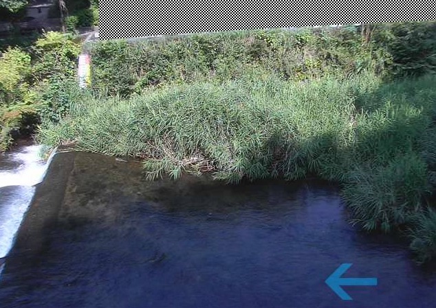 伊東大川大川ライブカメラ(静岡県伊東市鎌田)