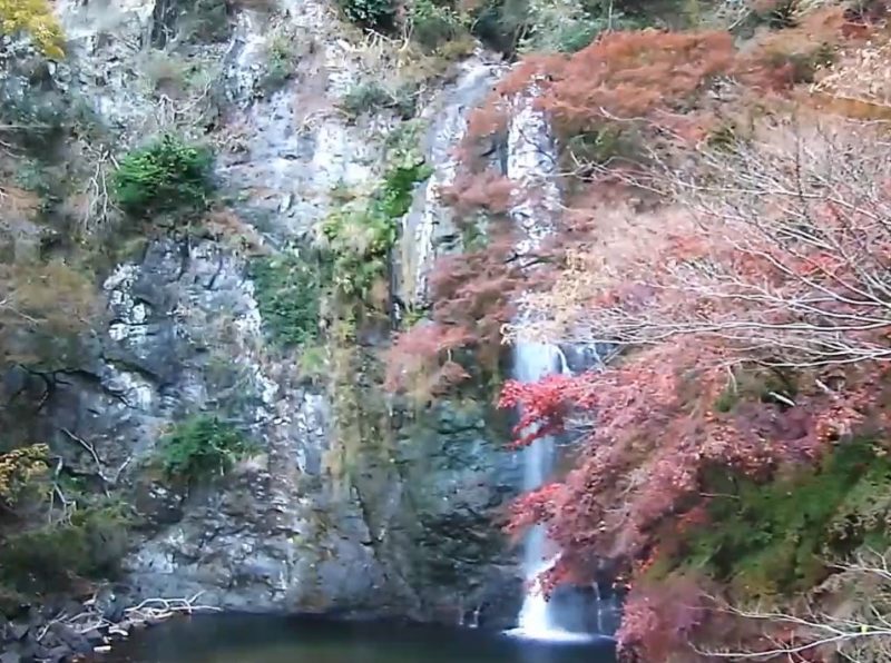 箕面大滝ライブカメラ(大阪府箕面市箕面公園)