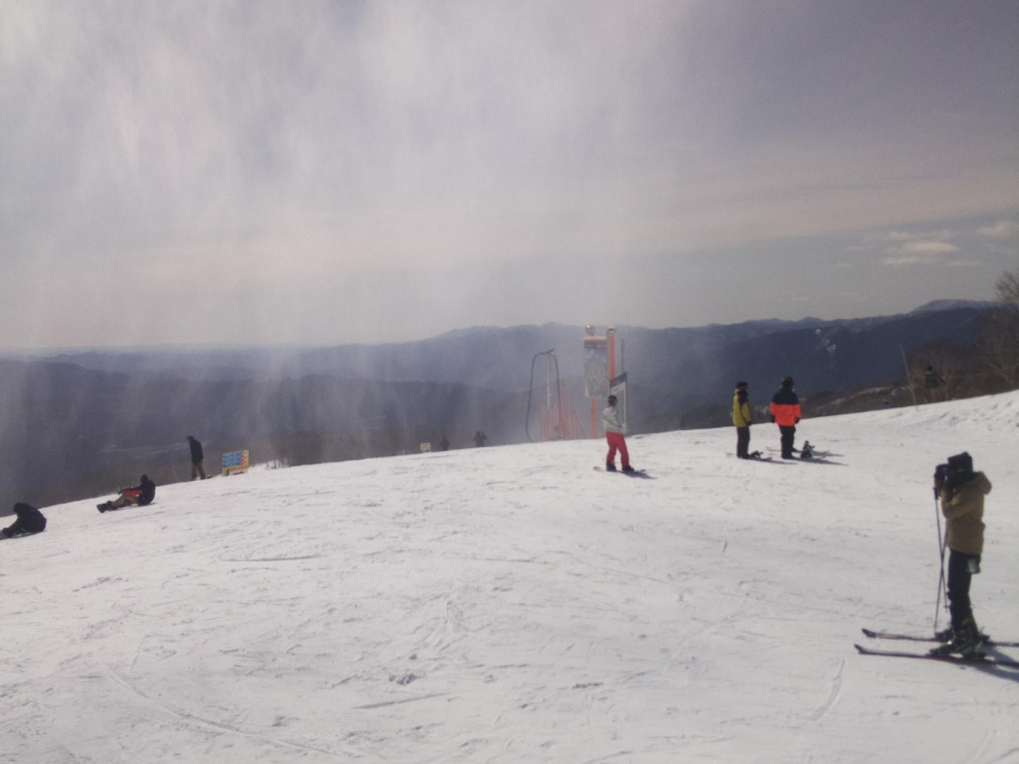 ダイナランドスキー場山頂ライブカメラ(岐阜県郡上市高鷲町)