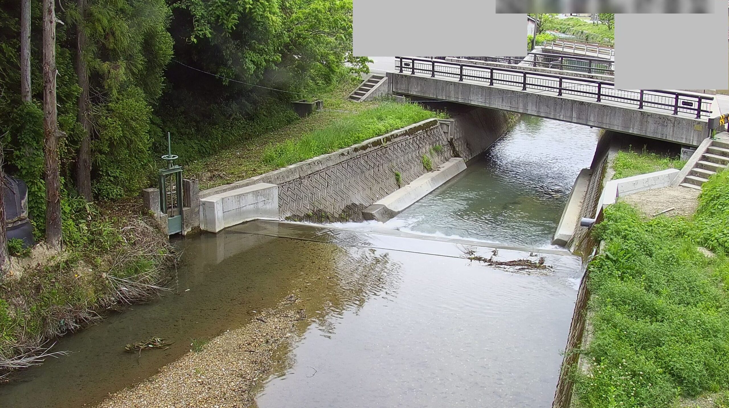 館谷川寺畠ライブカメラ(石川県能美市寺畠町)