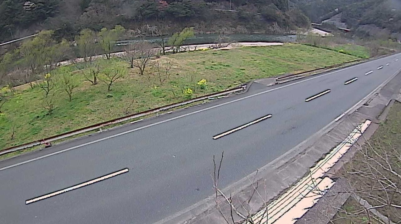 江の川19.8KP右岸ライブカメラ(島根県江津市桜江町大貫)