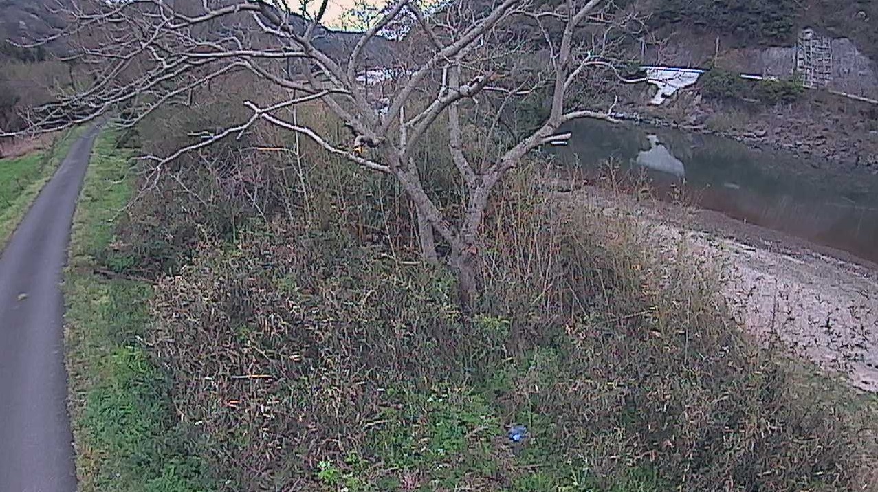 江の川7.4KP左岸ライブカメラ(島根県江津市川平町南川上)