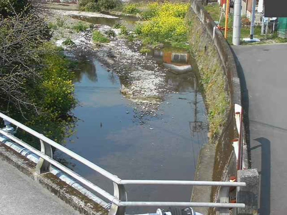 東海添ライブカメラ(大分県臼杵市海添)