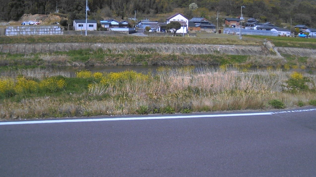 鴨部川六番ライブカメラ(香川県さぬき市鴨部)