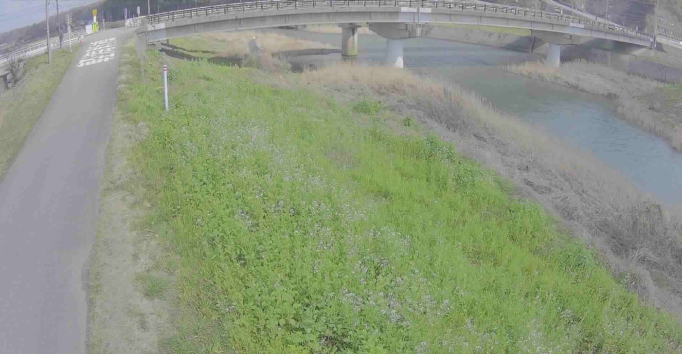 梯川10.8KP左岸ライブカメラ(石川県小松市軽海町)