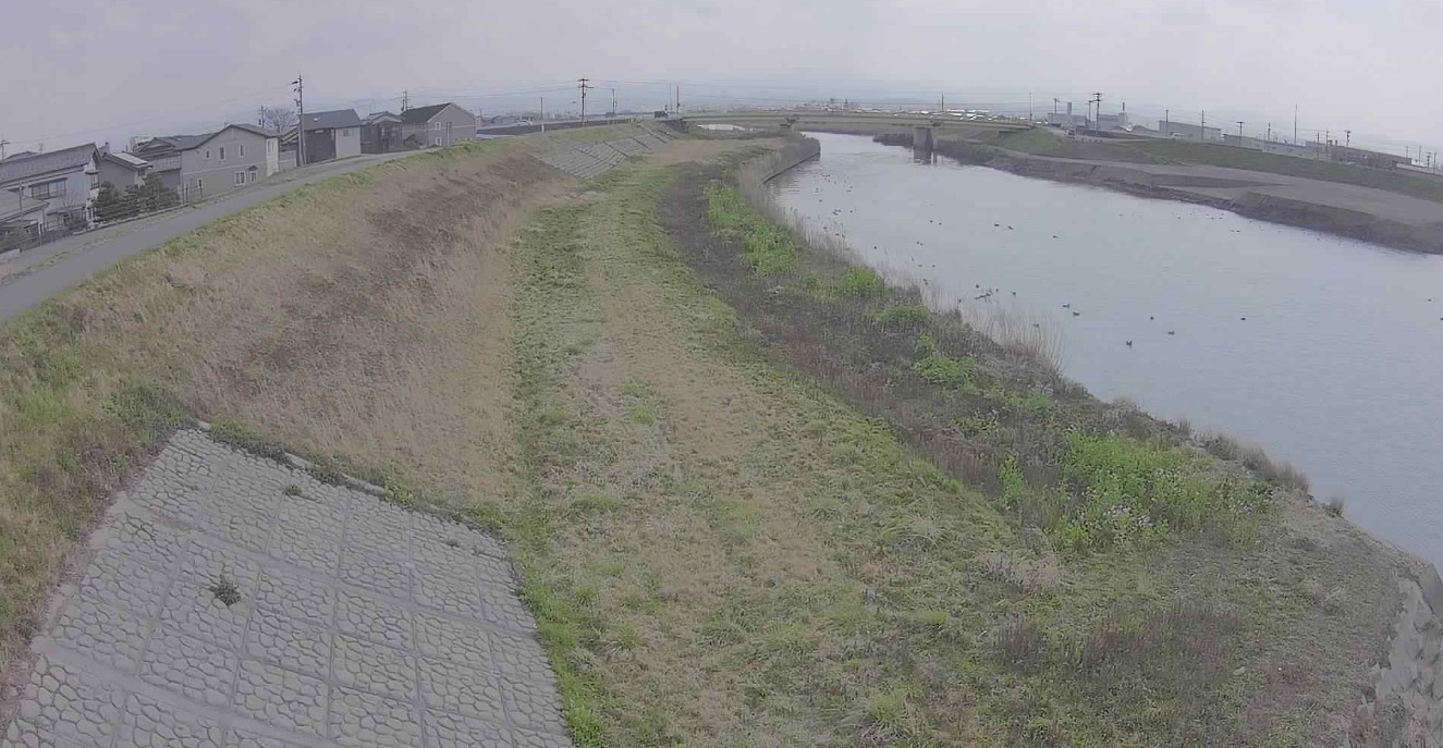 梯川5.0KP右岸ライブカメラ(石川県小松市平面町)