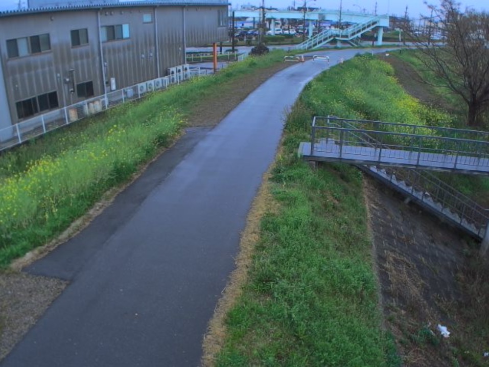 緑川野田ライブカメラ(熊本県熊本市南区)