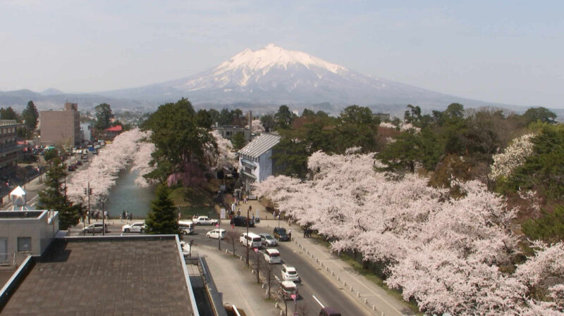 陸奥新報岩木山弘前公園ライブカメラ(青森県弘前市下白銀町)