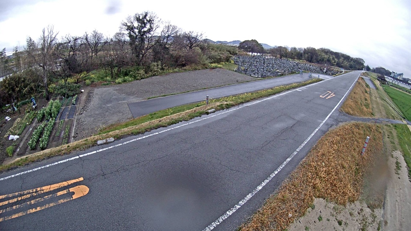 重信川松前町大新田床止ライブカメラ(愛媛県松前町北川原)