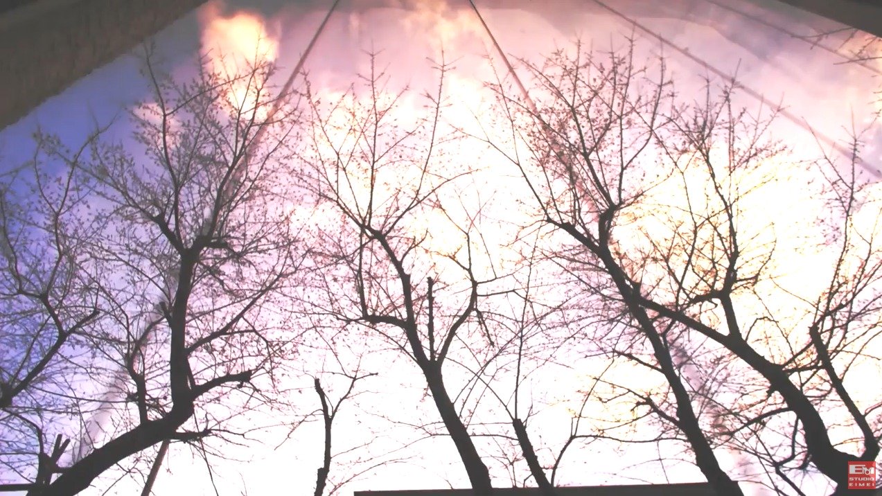 スタジオエイメイ桜ライブカメラ(東京都渋谷区道玄坂)