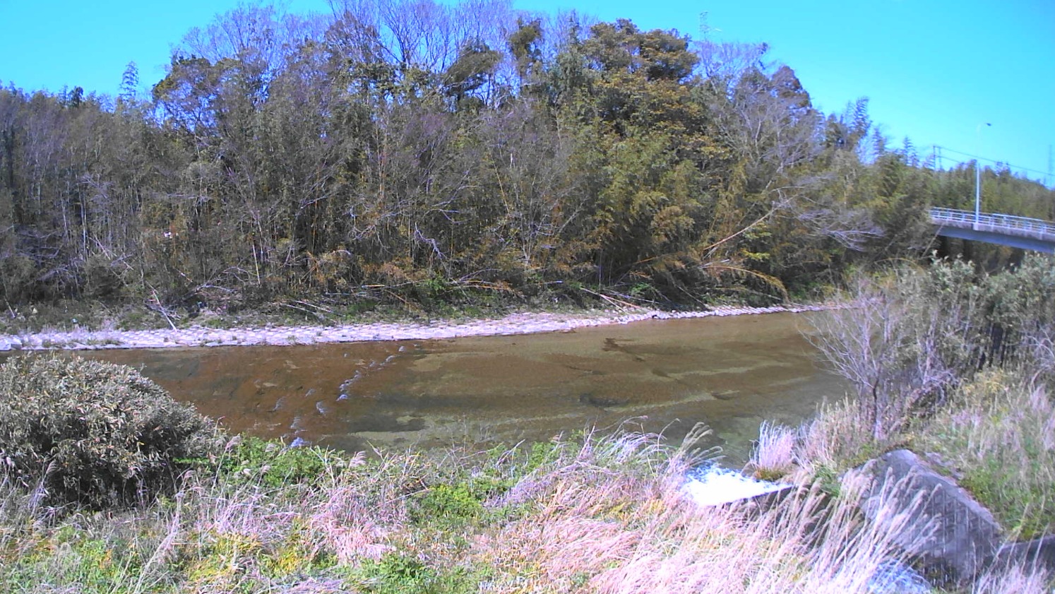 中村川4.6KP右岸ライブカメラ(三重県松阪市嬉野八田町)