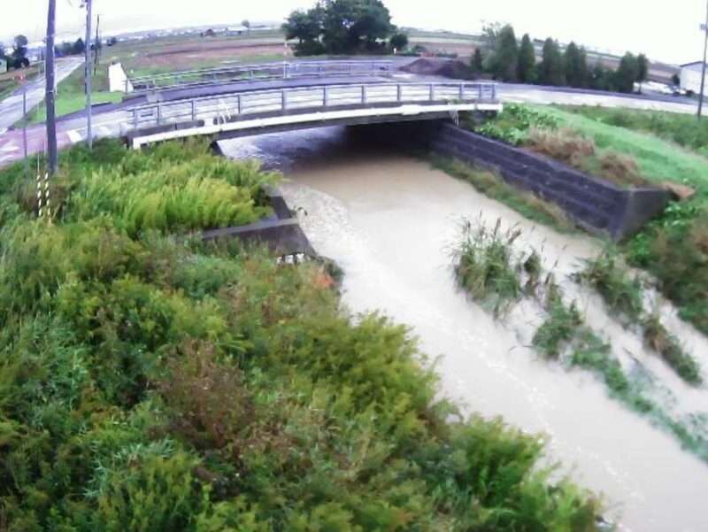 大願川大願橋ライブカメラ(北海道岩見沢市大願町) 2025年9月21日6時28分 大雨河川増水時