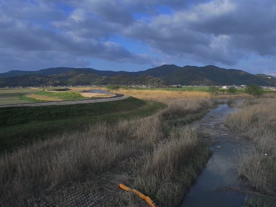 六角川玉江排水樋管ライブカメラ(佐賀県大町町福母)