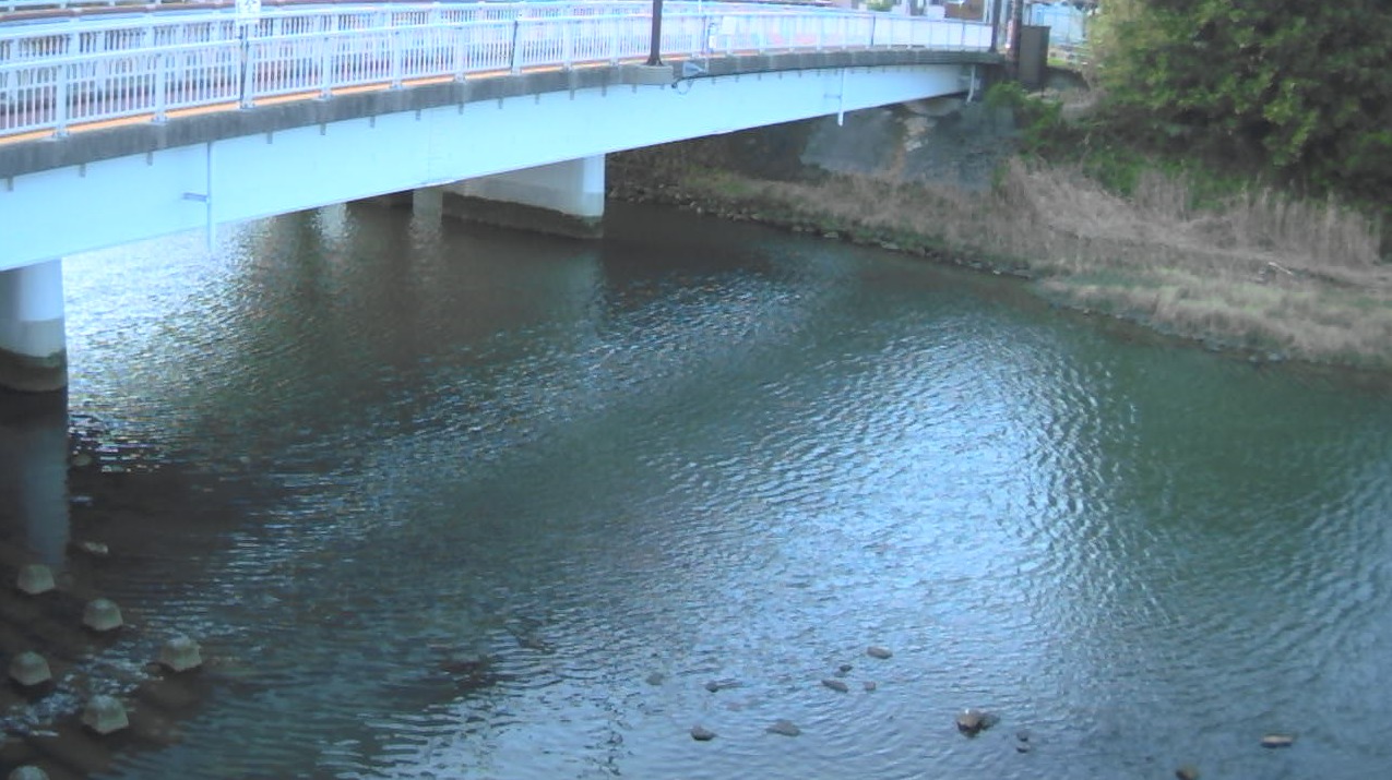 田深川国東橋ライブカメラ(大分県国東市国東町田深)