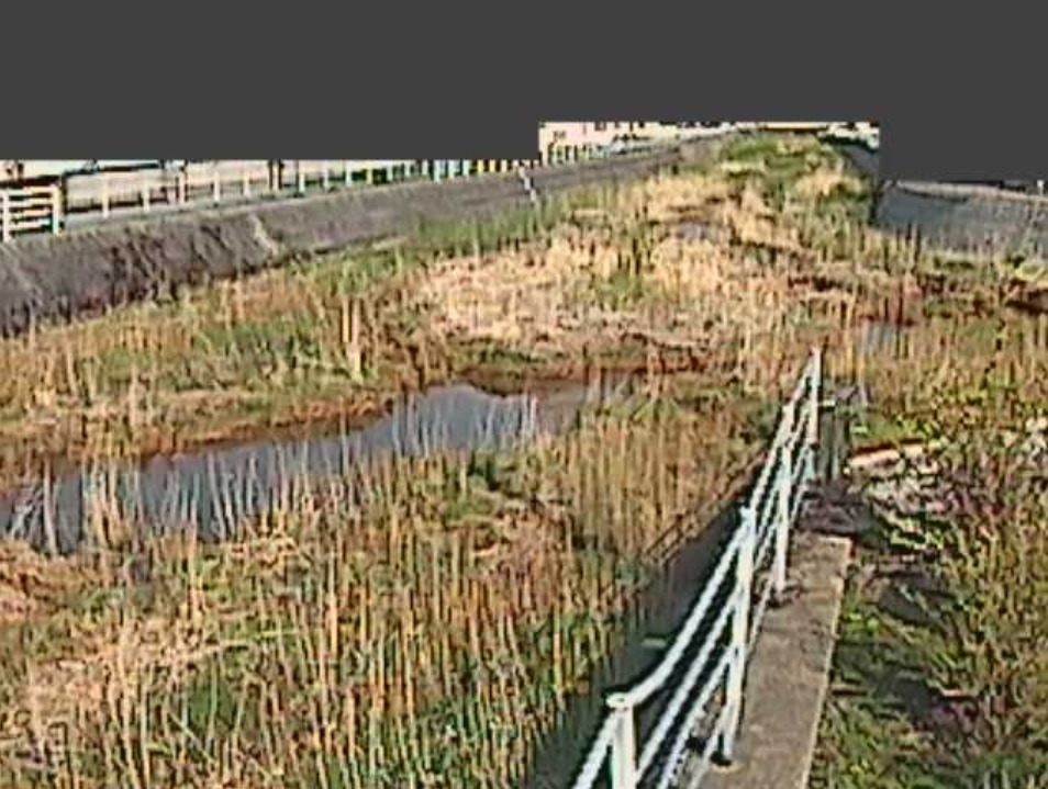 赤川はまなす公園ライブカメラ(青森県青森市はまなす)