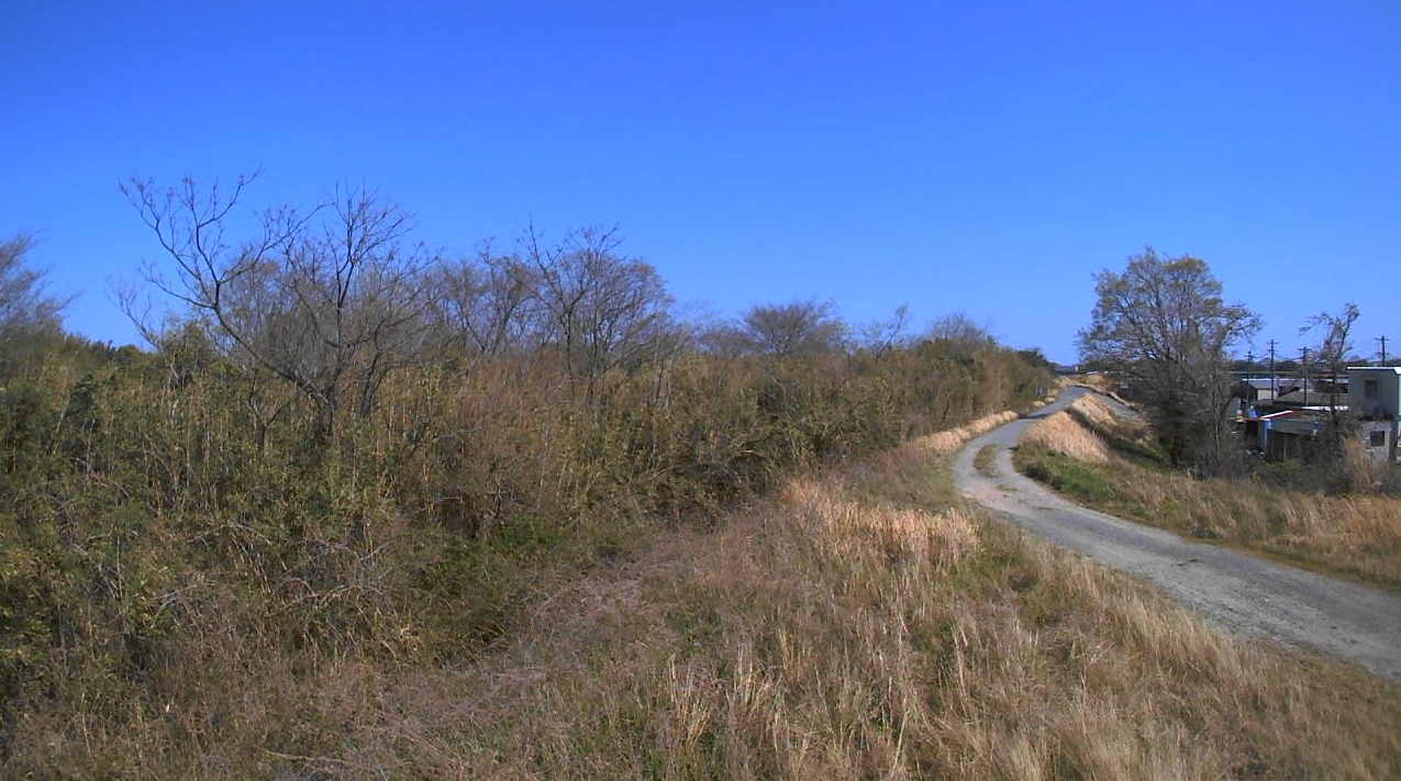 安楽川2.0KP左岸ライブカメラ(三重県亀山市田村町)