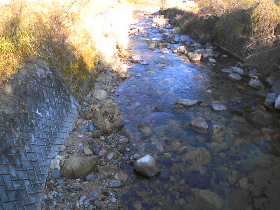 新井川根羽新井ライブカメラ(長野県根羽村新井)